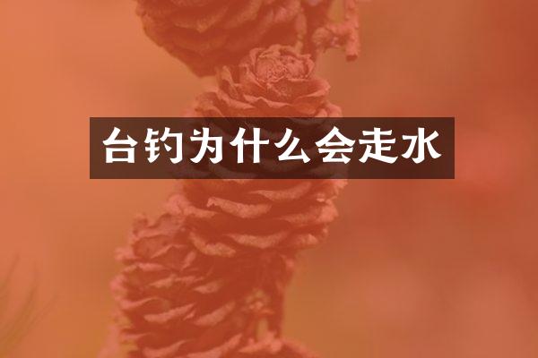 台钓为什么会走水