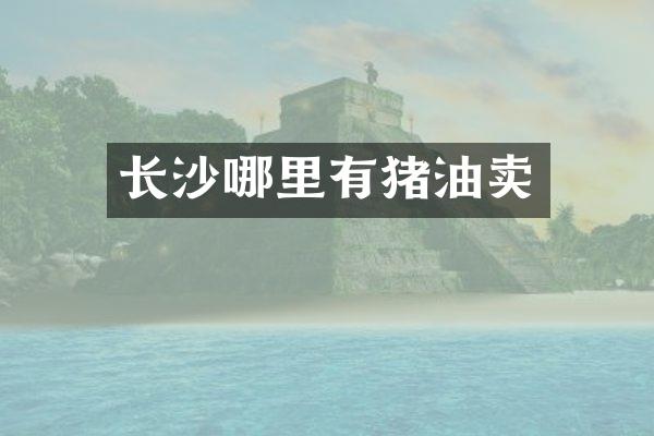 长沙哪里有猪油卖