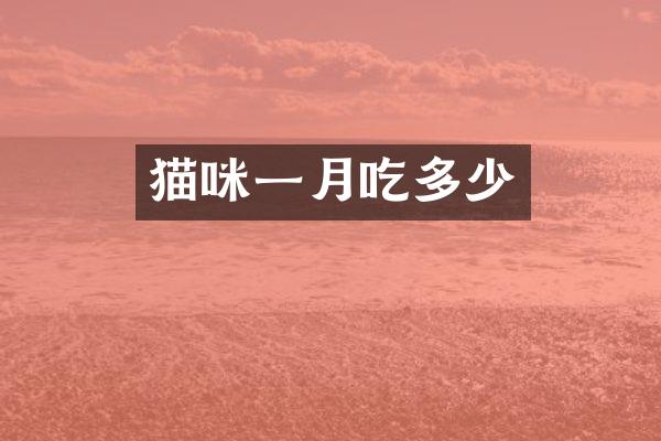 猫咪一月吃多少