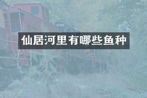 仙居河里有哪些鱼种