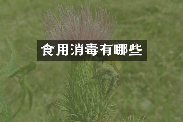 食用消毒有哪些