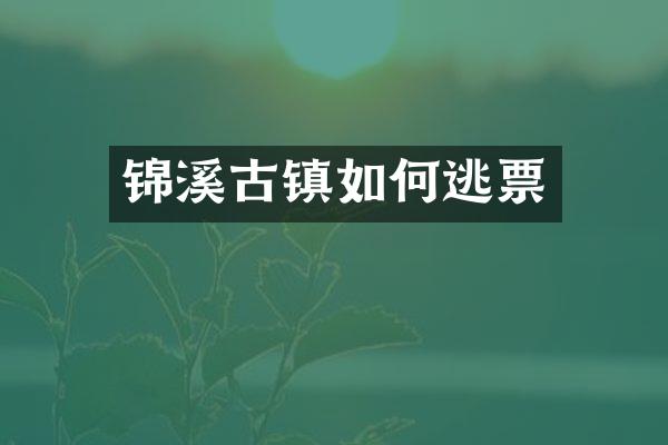 锦溪古镇如何逃票