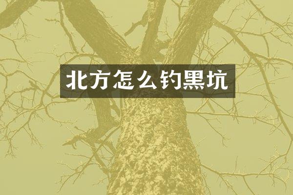 北方怎么钓黑坑