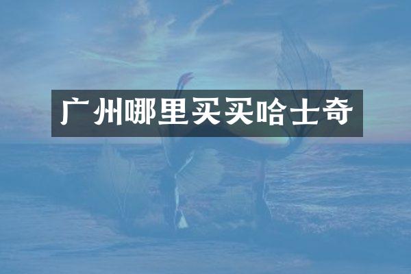 广州哪里买买哈士奇