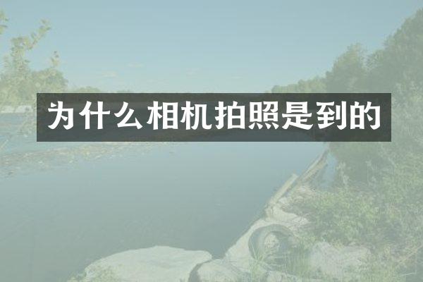 为什么相机拍照是到的