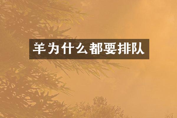 羊为什么都要排队