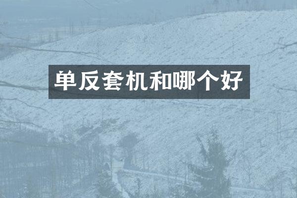 单反套机和哪个好