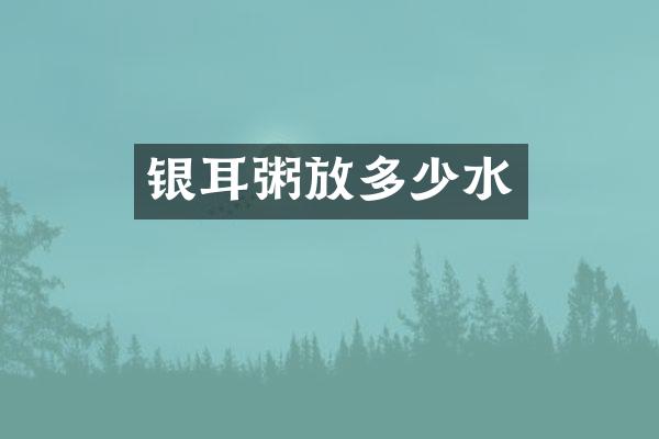 银耳粥放多少水