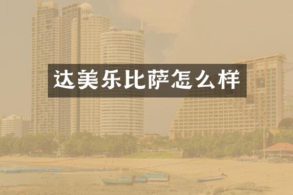 达美乐比萨怎么样