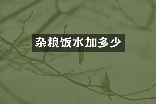 杂粮饭水加多少