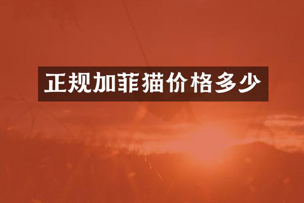 正规加菲猫价格多少