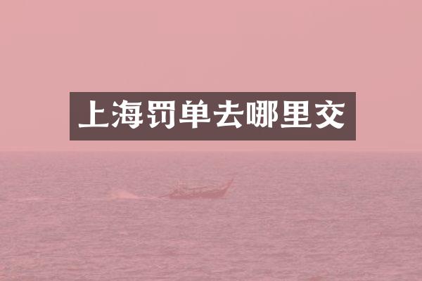 上海罚单去哪里交