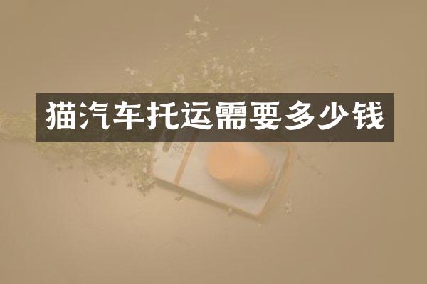 猫汽车托运需要多少钱