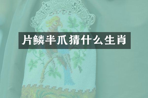 片鳞半爪猜什么生肖