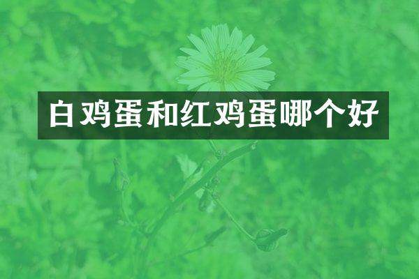白鸡蛋和红鸡蛋哪个好