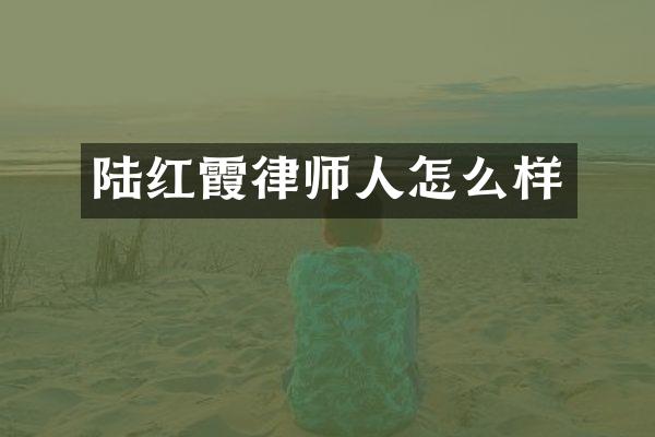 陆红霞律师人怎么样