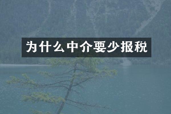 为什么中介要少报税