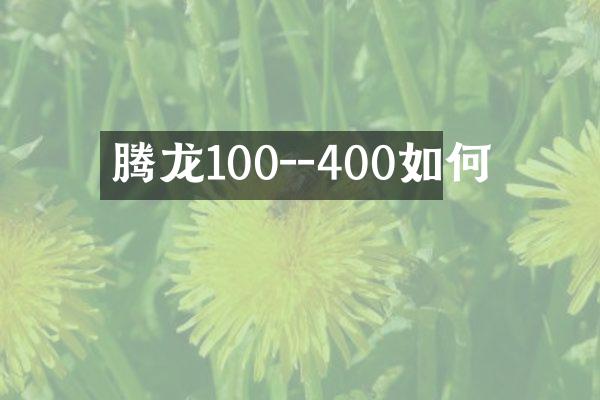 腾龙100--400如何
