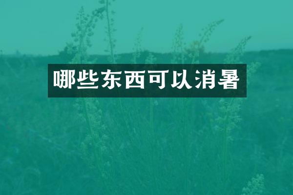 哪些东西可以消暑