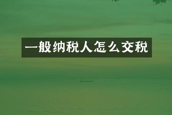 一般纳税人怎么交税