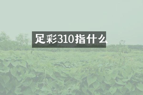 足彩310指什么