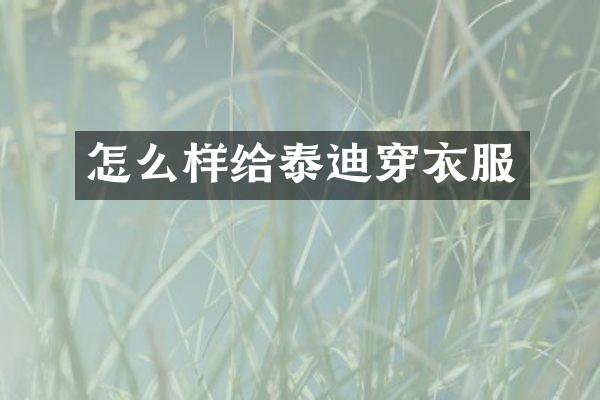 怎么样给泰迪穿衣服