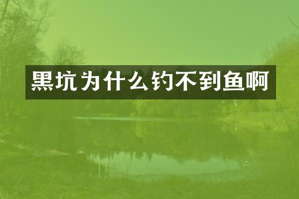 黑坑为什么钓不到鱼啊