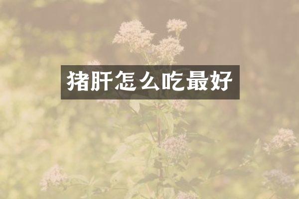 猪肝怎么吃最好