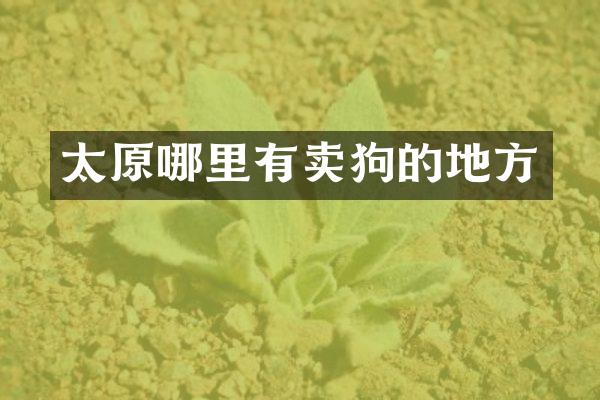 太原哪里有卖狗的地方