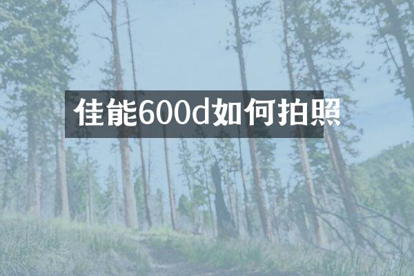 佳能600d如何拍照