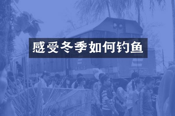 感受冬季如何钓鱼