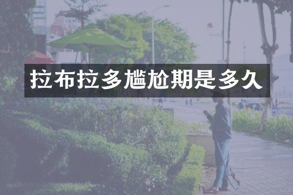 拉布拉多尴尬期是多久