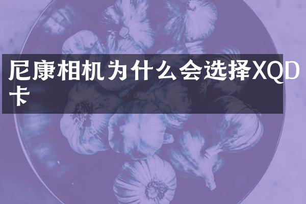 尼康相机为什么会选择XQD卡