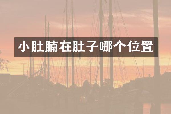小肚腩在肚子哪个位置