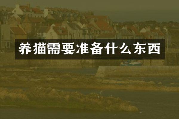 养猫需要准备什么东西