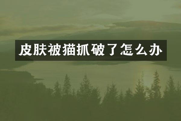 皮肤被猫抓破了怎么办
