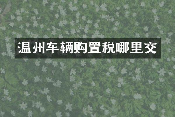 温州车辆购置税哪里交
