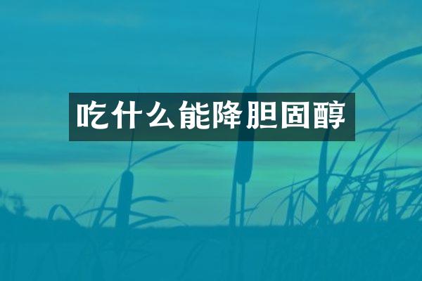 吃什么能降胆固醇