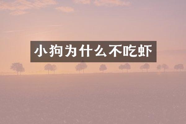 小狗为什么不吃虾