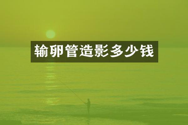 输卵管造影多少钱