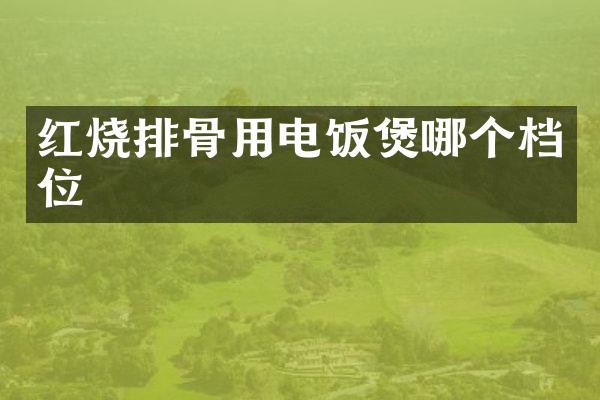 红烧排骨用电饭煲哪个档位