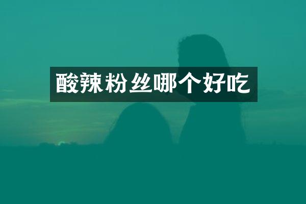 酸辣粉丝哪个好吃