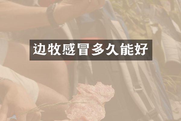 边牧感冒多久能好