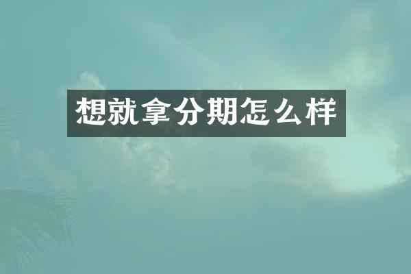 想就拿分期怎么样