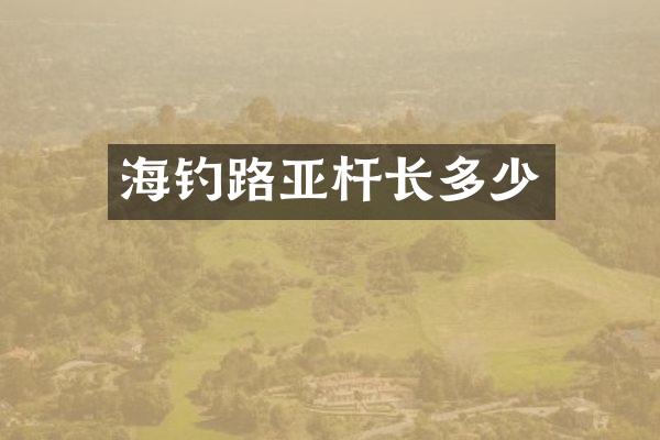 海钓路亚杆长多少