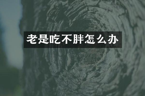 老是吃不胖怎么办