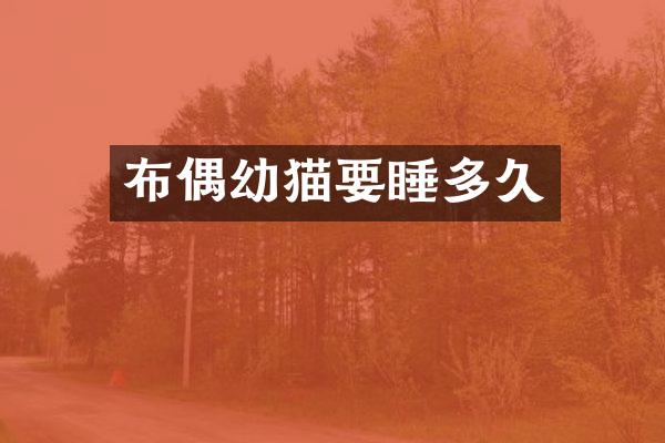 布偶幼猫要睡多久