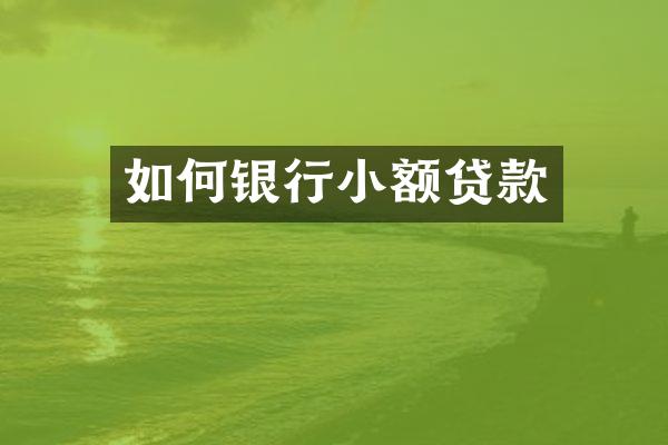如何银行小额贷款