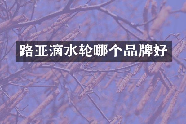 路亚滴水轮哪个品牌好
