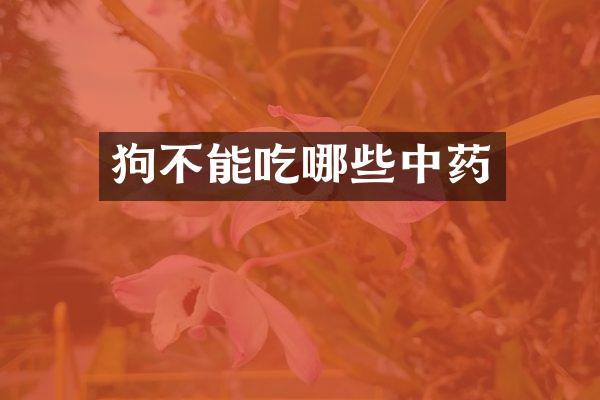 狗不能吃哪些中药